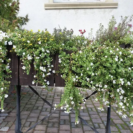 Apartamento Zum Deutschen Haus Hüttenrode